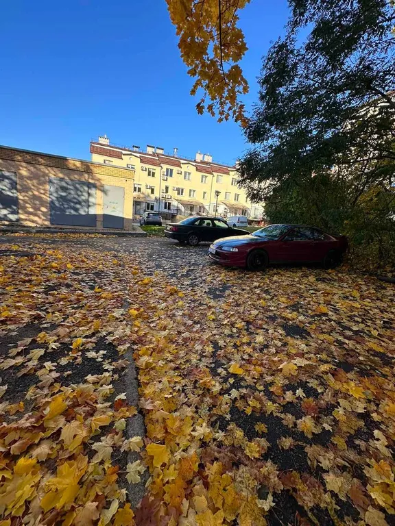 Parkside home светлые семейные апартаменты рядом с центром