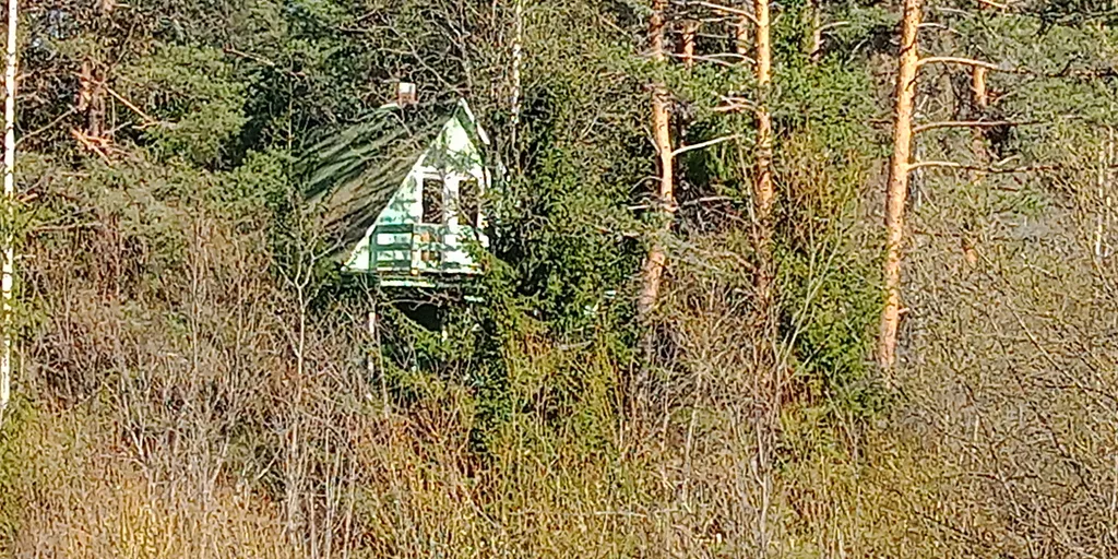 Лесная сказка на берегу Ладоги