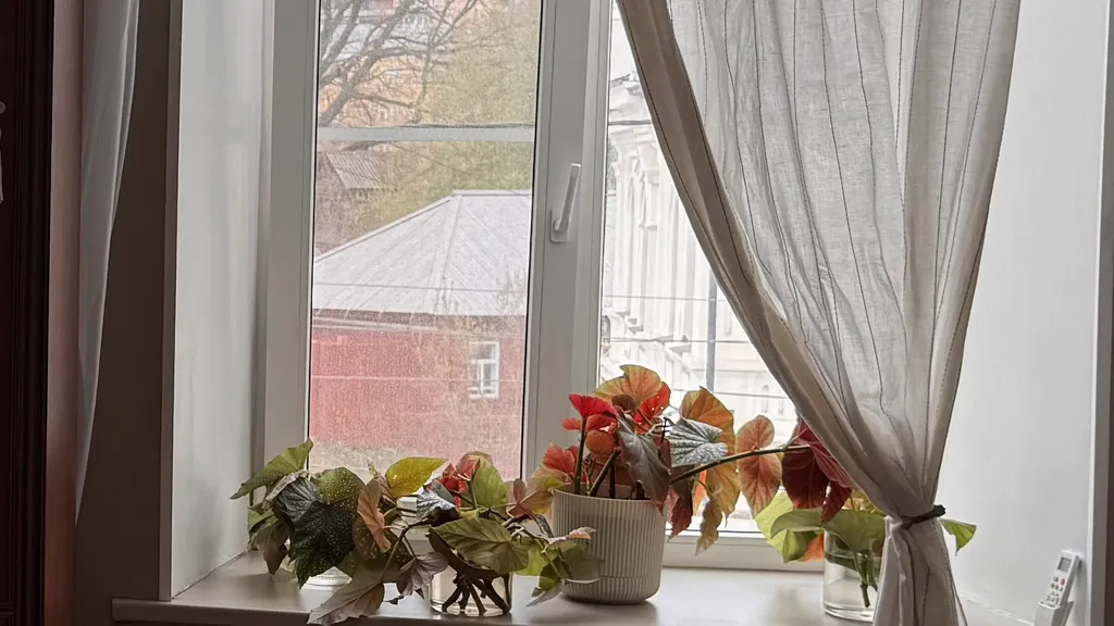 Квартира в купеческом доме в самом центре города