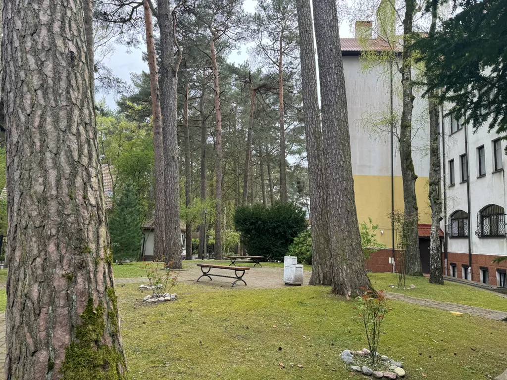 Квартира 3-комнатная Квартира — Светлогорск