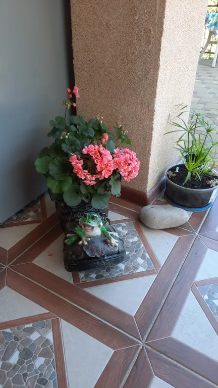 Квартира Комната — Лазаревское