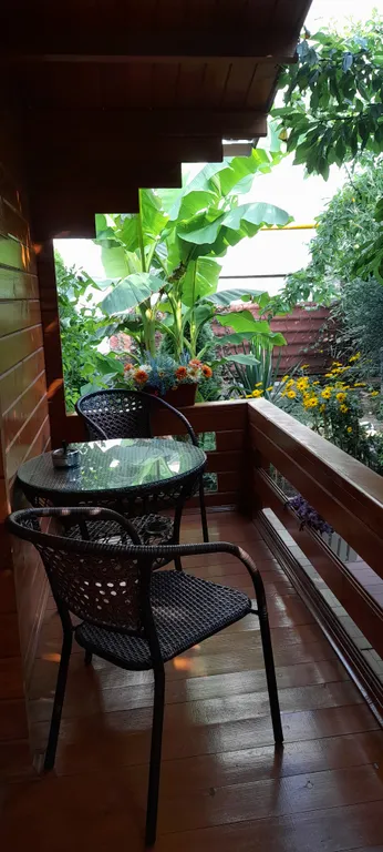 Коттедж Дом из бруса в саду — Анапа