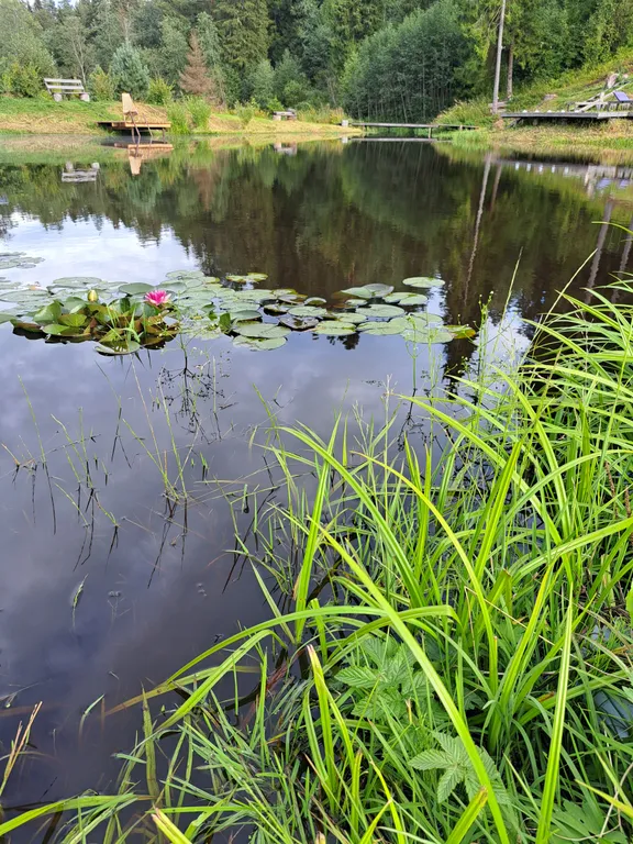 Коттедж Коттедж Экоуют в стиле кантри — Сясьстрой
