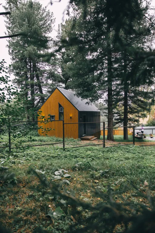 Уютный домик в кедровом лесу