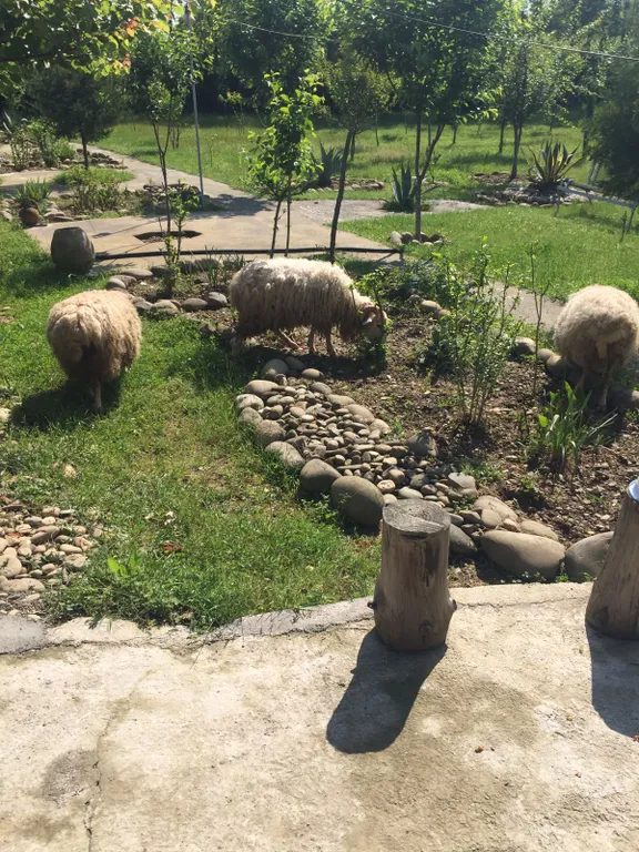 Уютная комната в гостевом доме