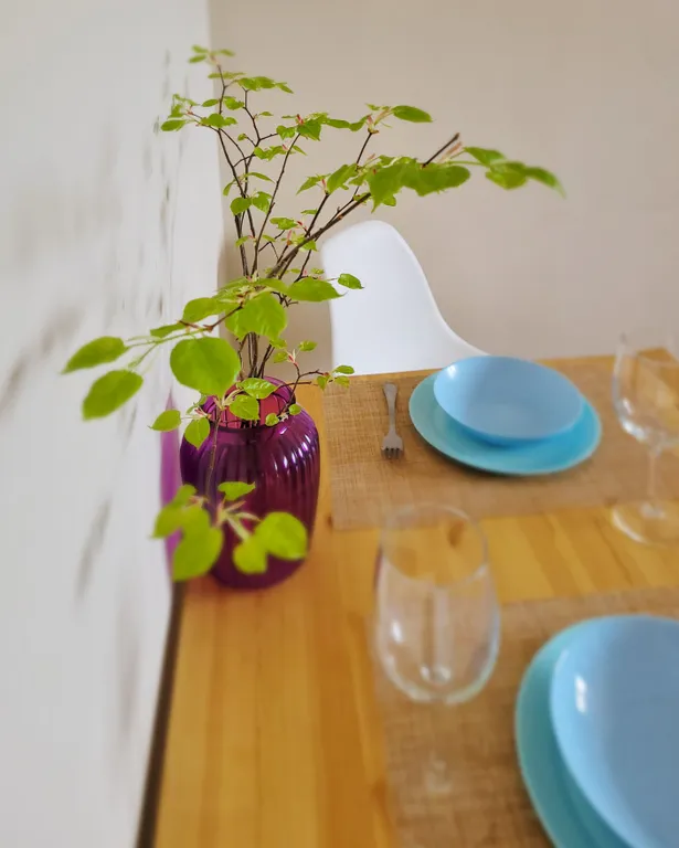 Апартамент-студия с видом на бескрайний лес