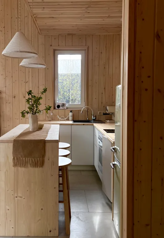 Уютный стильный новый дом с баней в окружении берёзовой рощи