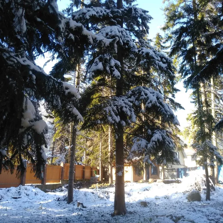 Гостевой дом Лесная сказка