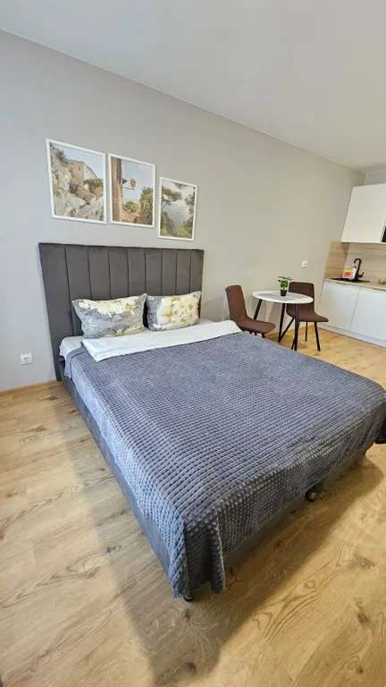 Квартира Студия у метро Парнас — аренда посуточно в Парголово