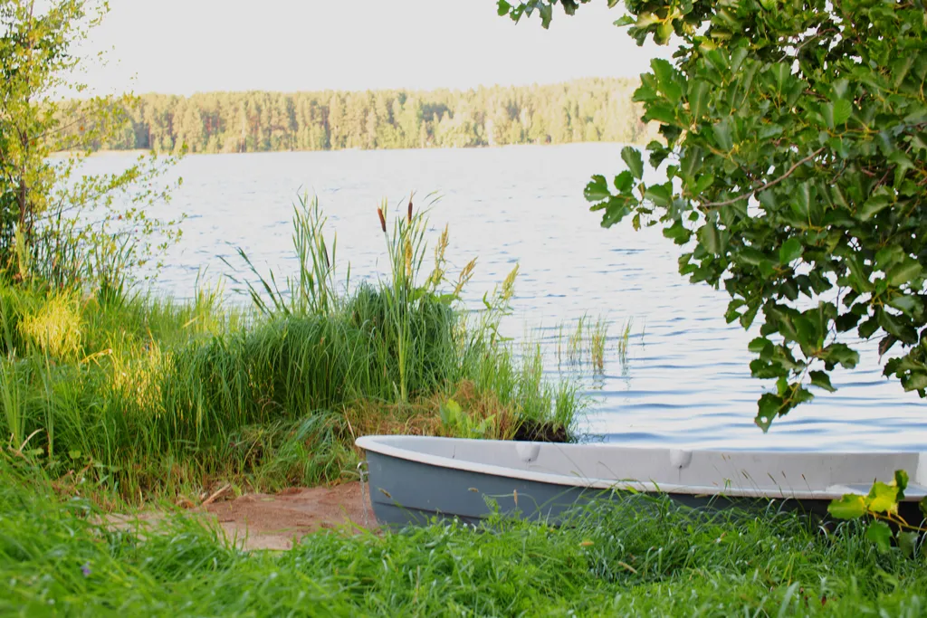 Коттедж 3-комнатный Дом — Приладожское