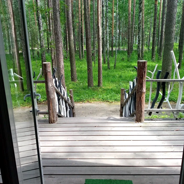 Дом в лесу на берегу озера