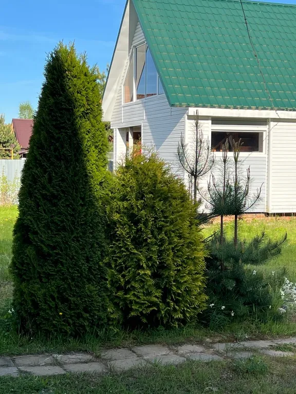 Дом у леса. Свободные даты