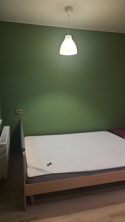 Студия, метро Рыбацкое