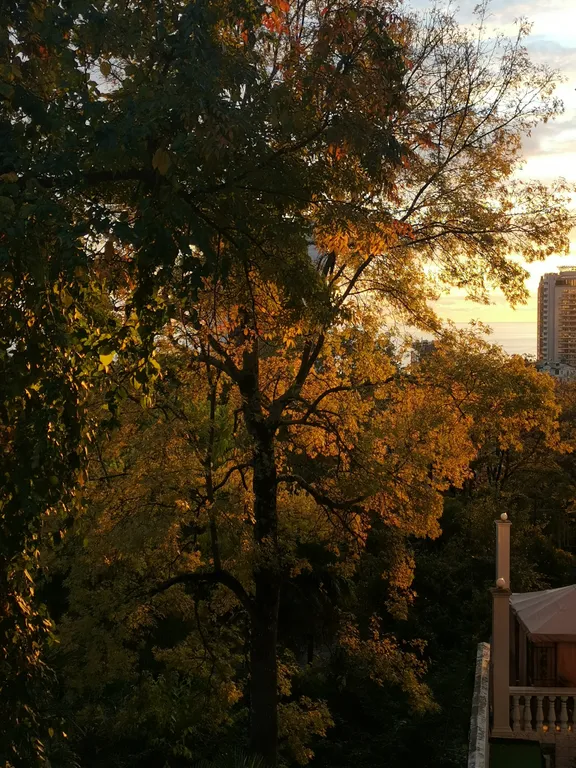 Коттедж Дом в самом центре — Сочи