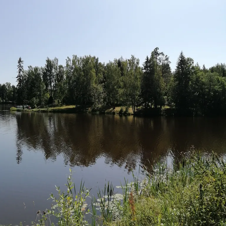 Коттедж на берегу пруда с бассейном