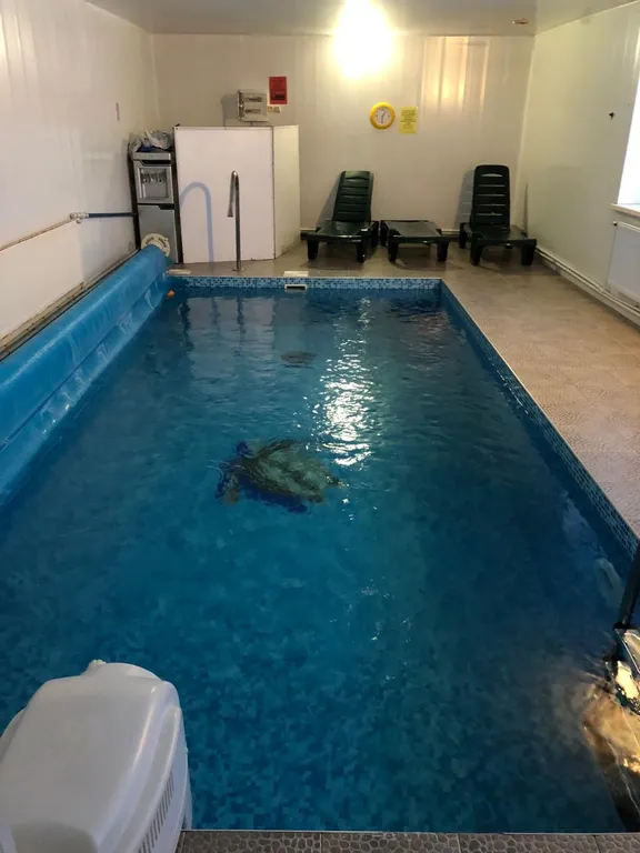 Коттедж для отдыха с семьей — аренда посуточно в Чехов