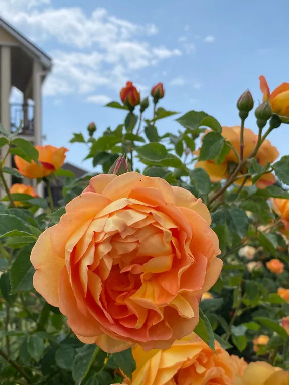 Квартира Квартира Двухместный номер (второй этаж) — Витино