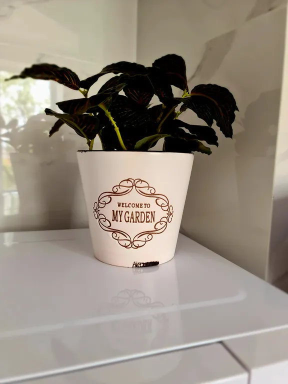 Уютная квартира в самом центре города