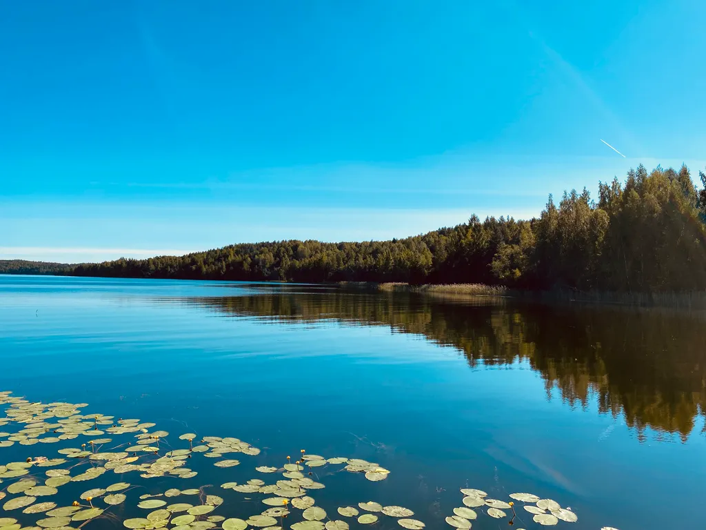 5-комнатный Дом