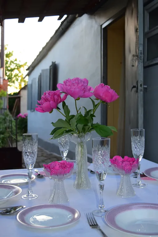 Дом-музей в деревенском стиле в районе Чеховской набережной