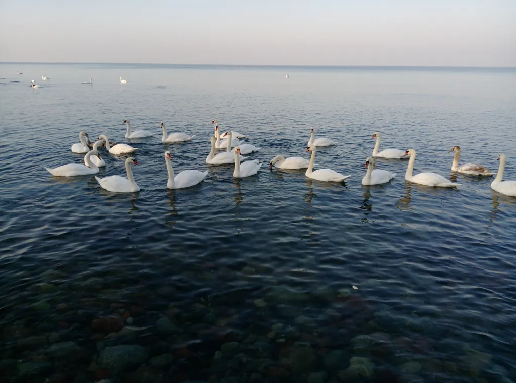 Уютная квартира у моря с сосновым бором