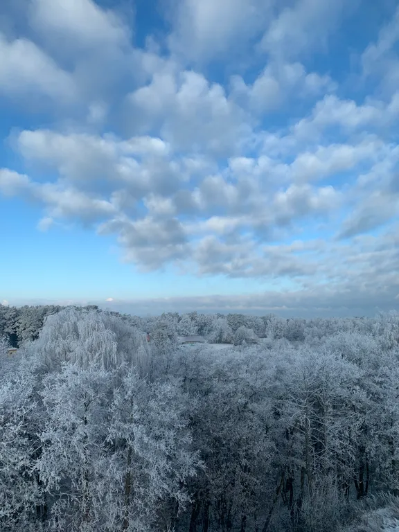 Русская Прибалтика