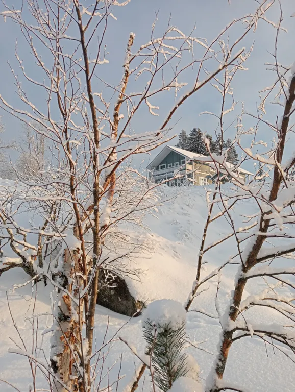 Гостевой дом Мункинмяки на берегу озера