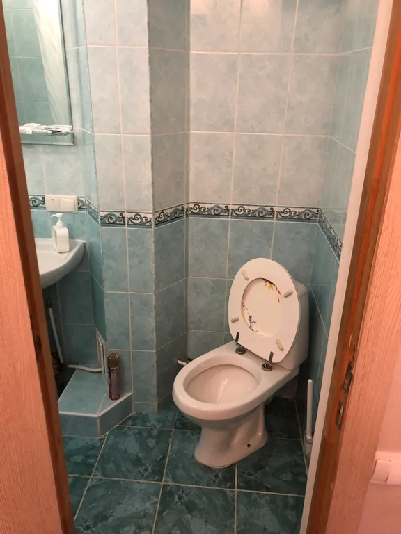 Квартира 2 комнатная квартира прям возле парка имени Ю.А. Гагарина — Симферополь