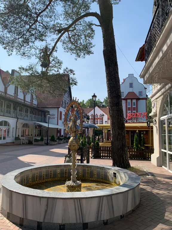 Квартира 1-комнатная Квартира — Светлогорск