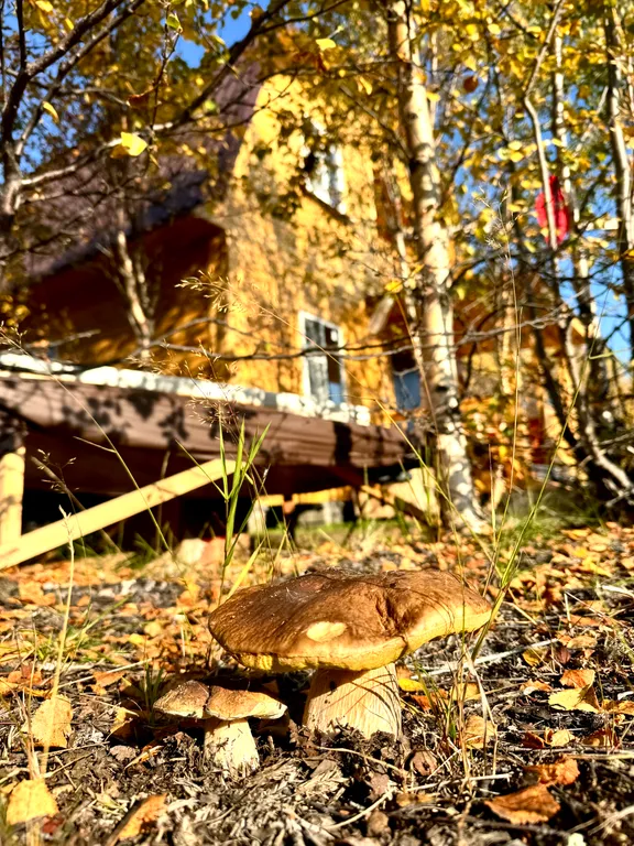 Уютный двухэтажный дом в окружении природы