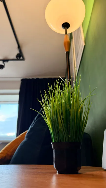 Студия в тихом районе Муринские пруды