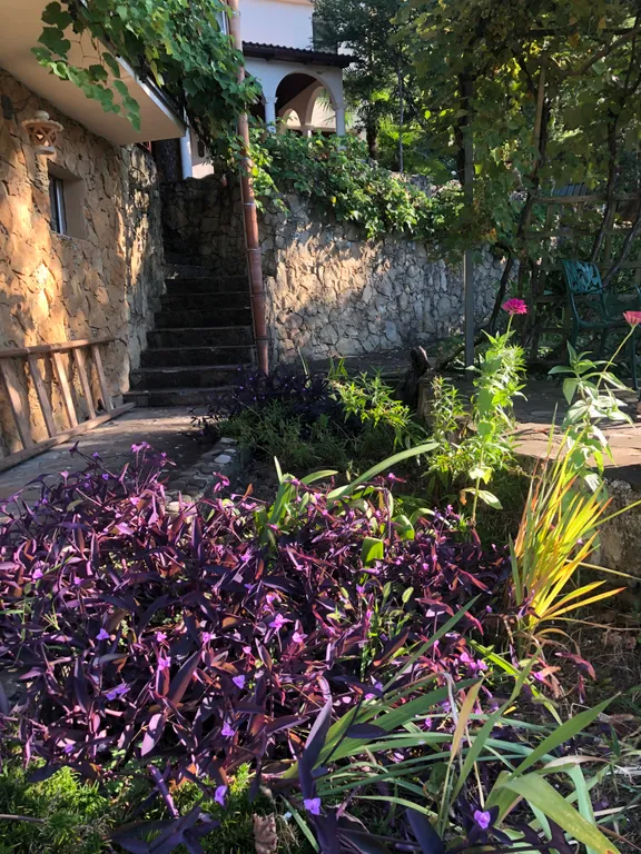 Два дома на море с бассейном и садом