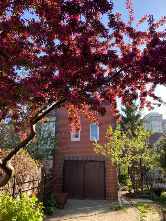 Коттедж Отдельный домик с террасой и зоной барбекю — Калининград