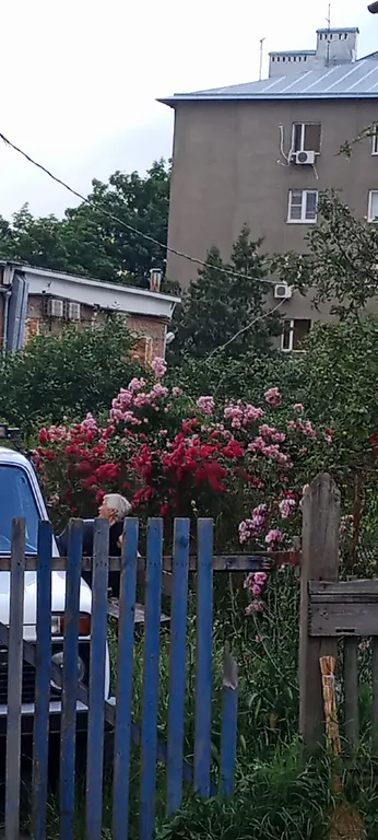 Студия для двоих в тихом месте