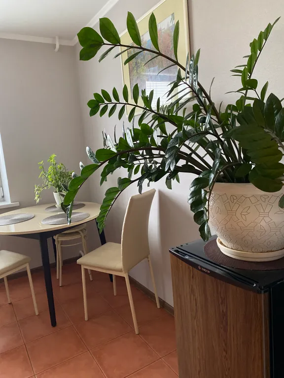 Комфортная квартира в самом центре города