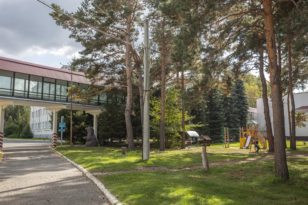 Апартаменты с видом на лес