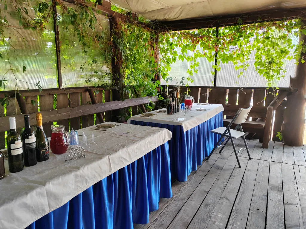 Коттедж возле горячих источников до 25 человек