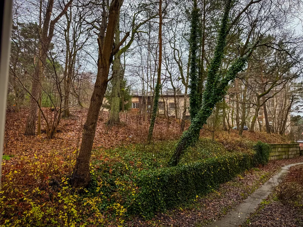 Квартира Квартира Локация — Светлогорск