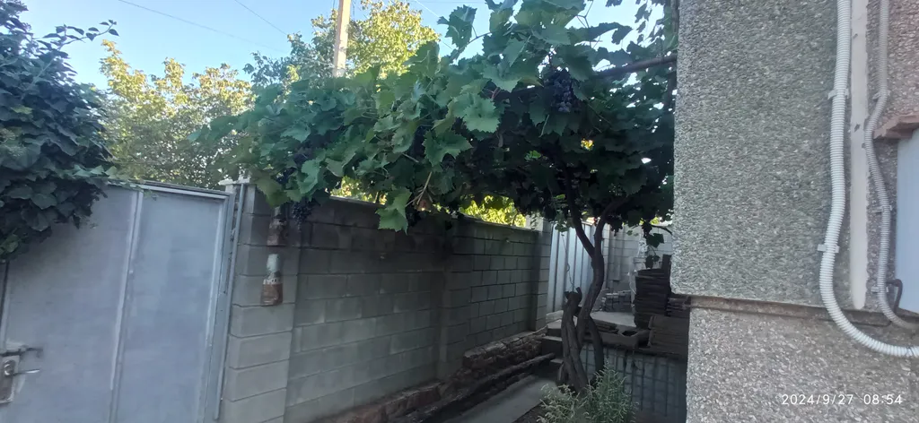 Уютный Дом в можжевеловой роще