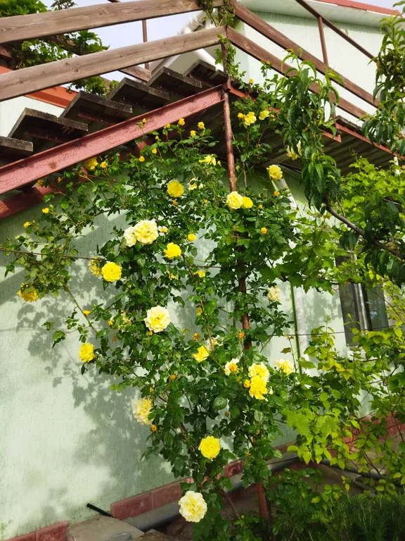 Уютная мансарда 35 м² в частном доме в 15 минутах ходьбы до моря