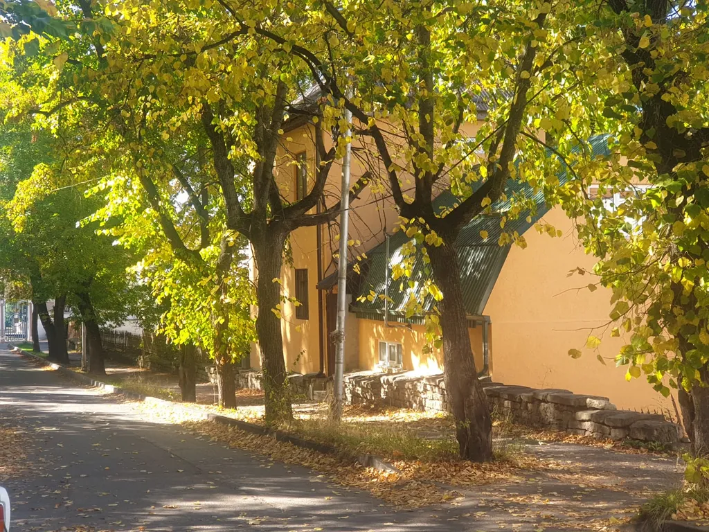 Коттедж Уютный дом для отдыха в центральной курортной зоне города — Кисловодск