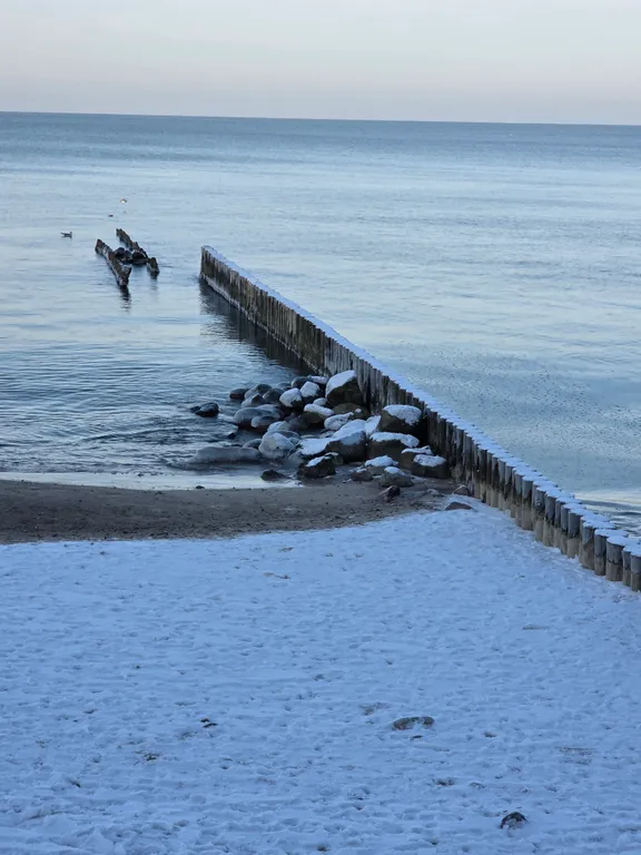 Коттедж Уютный дом у Соснового парка и моря — Пионерский