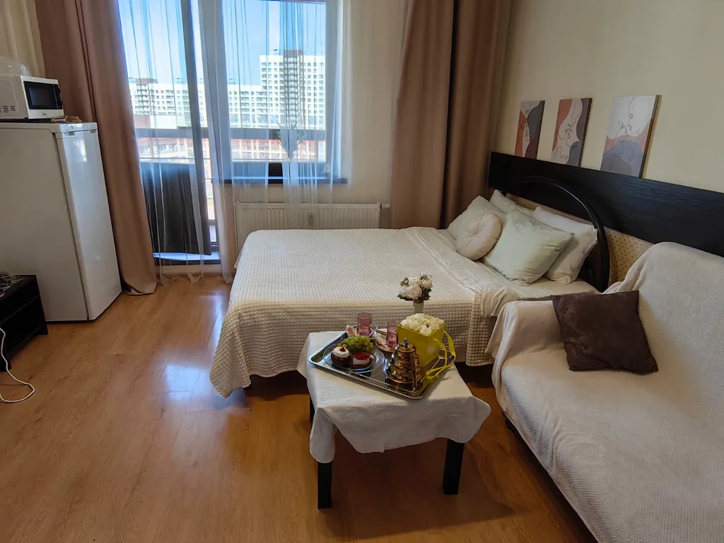 Уютная видовая студия у метро