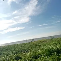 Артур Гзовский