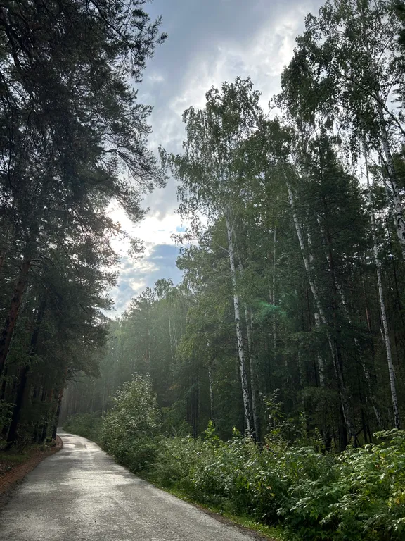 Апартамент на озере Увильды