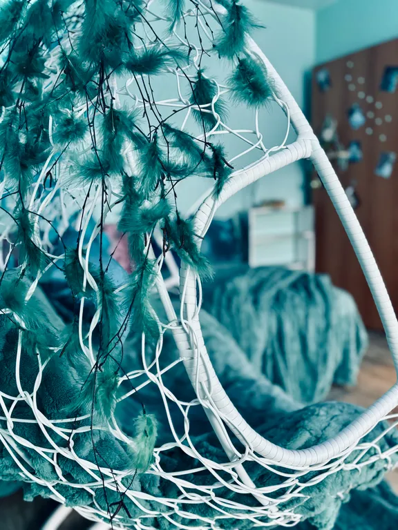 В гостях у Алисы