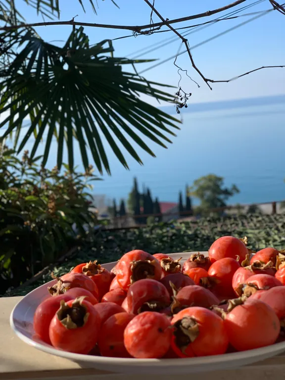 Уютная комната в центре города с видом на море