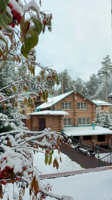 Коттедж Коттедж среди хвойных сосен — Кудряшовский