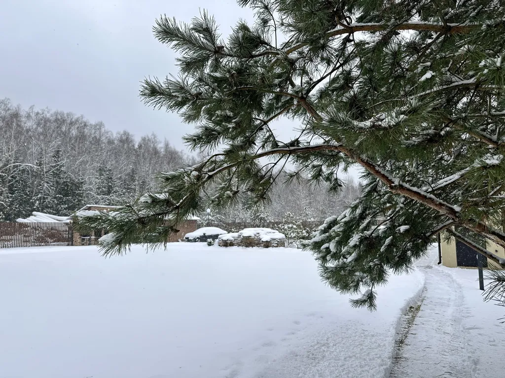 Уютный коттедж в лесу у пруда