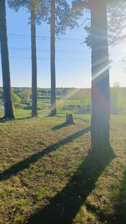 Коттедж Уютный домик у реки — Можайск